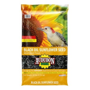 Audubon Park 10lb Black Oil Sunflower Wild Bird Food: Energy-Rich, Easy-to-Open Seeds, Attracts Variety - 1 of 3
