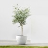 Ecopots Antwerp Durable Modern Round Indoor/Outdoor Recycled-Based Composite Flower Pot Planter - 3 of 4