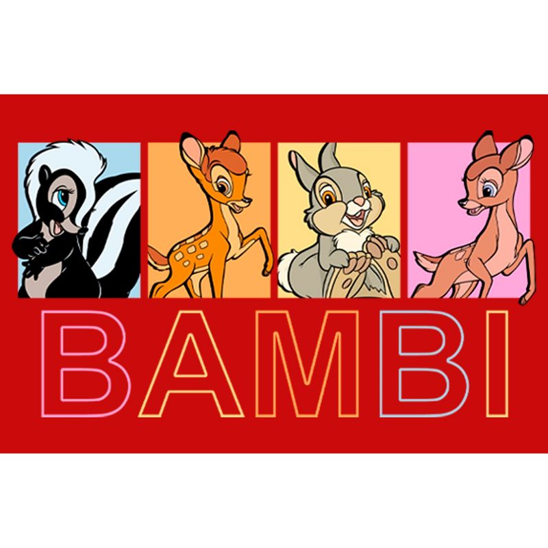 Boy's Bambi Failine, Thumper & Flower Character Boxes T-Shirt, 2 of 5