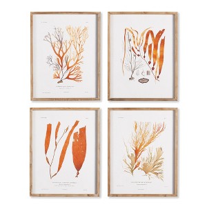 Plum & Post Coral Reef Study Set of 4 - 1 of 3