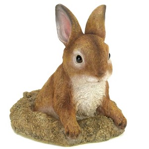 Zingz Home Curious Bunny Garden Décor 5.5x5.5x6.25" - 1 of 4