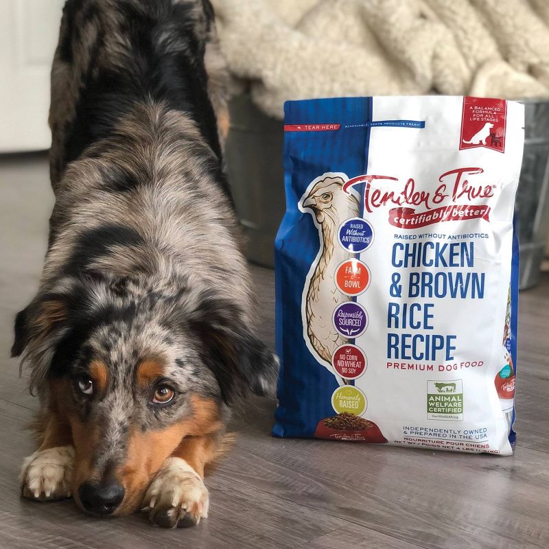 Tender & True Chicken and Brown Rice Recipe Dry Dog Food, 5 of 6