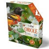 Madd Capp: I Am Oriole - 300 Piece Puzzle - Bird -Shaped Jigsaw, Adults & Kids - 2 of 4