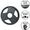 Amber Fight Gear Triple-Grip Weight Plates, Durable Cast Iron for Strength Training, Ideal for Squats, Deadlifts, Bench Press, Pair (5 lbs) - 2 of 4