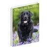 Willow Creek Press What Labs Teach Us 2025 Engagement Calendar: Weekly Planner, Spiral Binding, 6.5x8.525", All Ages - 4 of 4