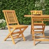 vidaXL Folding Patio Chairs, Solid Teak Wood, Classic Slatted Design, Comfortable Backrest - 2 of 4