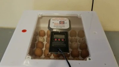 Digital White Egg Incubator with Automatic Turner and Humidity Control