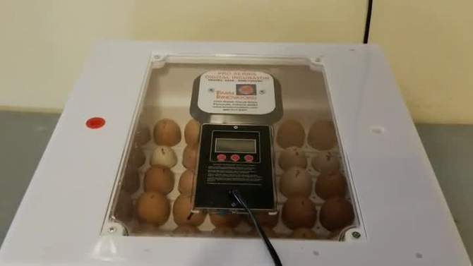 Farm Innovators 41 Egg Incubator with Automatic Egg Turning and Humidity Control, Egg Candler with Digital LCD Display for Improved Hatching, White, 2 of 8, play video