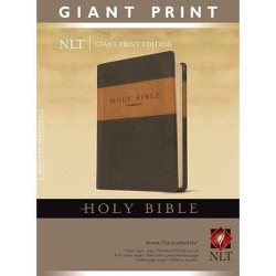 Nlt Personal Size Giant Print Bible, Filament Enabled Edition (red ...