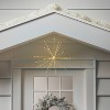 LED Champagne Glitter Starburst with Twinkle Christmas Novelty Silhouette Lights with White Color Light Bulb - Wondershop™ - 2 of 4