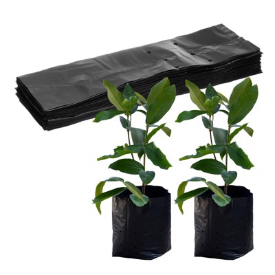Unique Bargains Thicken Plastic Gardening Seed Plant Bags Nursery Growing Bags Black 50 Pcs