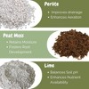 Soil Sunrise Potting Soil w/ Mycorrhizae, Fantastic Fungi Potting Soil Mix, All-Natural - 3 of 4