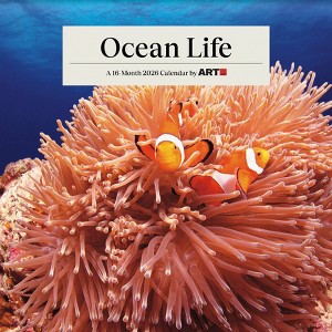 Trends International 2026 Ocean Life 12"x12" Wall Calendar - 1 of 4
