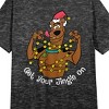 Scooby Doo Get Your Jingle On Crew Neck Short Sleeve Black Heather Women's Night Shirt - 2 of 2