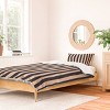 Deny Designs 2pc Twin/Twin XL Daniel Coulmann Stripes 001 P Basaltic Duvet and Sham Set - 2 of 4