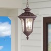 Livex Lighting Oxford 3 - Light Pendant in  Imperial Bronze - 2 of 4