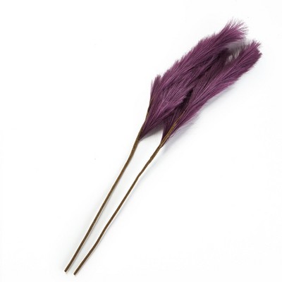 The Lakeside Collection Natural Hays and Grasses Home Accents - Purple Set of 2 Picks 2 Pieces