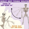 Joyfy 24” Halloween Full Body Poseable Skeleton, Human Plastic Bone with Movable Joints for Haunted House Scene Party Prop Decor (1 pcs, Original) - 2 of 4