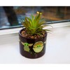 Silver Buffalo Star Wars: The Mandalorian The Child Ceramic Planter with Artificial Succulent - 4 of 4