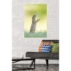 Trends International The Comedy Wildlife Photography Awards: Perdita Petzl - Conducting Unframed Wall Poster Prints - 2 of 4