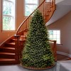 National Tree Company 10' Unlit Dunhill Fir Hinged Artificial Christmas Tree 5090 Tips - 2 of 3