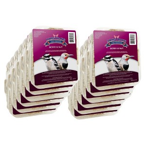 Armstrong Wild Bird Food Berry N' Nut Suet Cake, 11.3oz (Pack of 12) - 1 of 4
