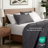 Ivy Union Down Alternative Comforter Set - 2 of 4