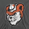 Sam Houston State University Official Distressed Primary Adult Pull-Over Hoodie - 2 of 4