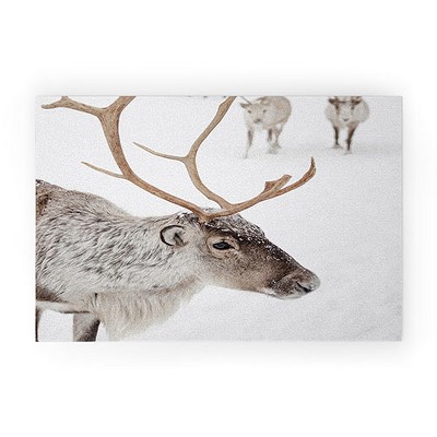 Henrike Schenk Travel Photography Reindeer With Antlers Art Print Tromso Norway Animal Snow Photo 30" x 20" Welcome Mat - Society6