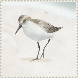 Amanti Art Sandpiper on the Beach II by Lucca Sheppard Canvas Wall Art Print Framed 22 x 22-in. - 1 of 4