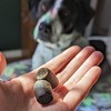 Hemp Well Dog Soft Chews: Immune Support with Functional Mushrooms and Hemp - 3 of 3