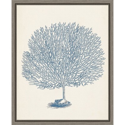 Antique Blue Coral Nautical Canvas Print with Frame 16 x 20