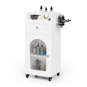 Karl Home Gray Wooden Mobile Salon Trolley Cart with Wheels and Glass Door and Dryer Holder - 1 of 4