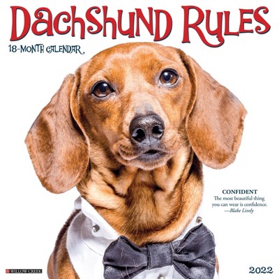 2022 Wall Calendar Dachshund Rules - Willow Creek Press