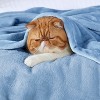 Bedsure Flannel Blanket – Solid Color Plush Throw, Ultra Soft and Fuzzy, 300GSM Lightweight Cozy Blanket for Bed or Sofa - 3 of 4