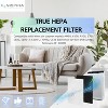 Nispira 5500 C535 115115 Filter Replacement For Winix Air Purifier True HEPA Carbon 6300, P300, 5300, 5300-2, 6300-2, 3 Sets - 2 of 4