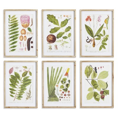 Plum & Post Leaf Botanical Study, Set Of 6