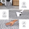 Braided Print Area Rugs for Living Room Non Slip Backing Farmhouse Accent Rug Non-Shedding Woven Carpet Foldable Low Pile Ultra Soft Indoor Rug - 4 of 4
