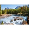 1500 Piece Jigsaw Puzzle, Athabasca River, Jasper National Park, Canada, Mountains and River, Adult Puzzles, Castorland C-150762-2 - 2 of 4