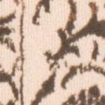 cream/bronze