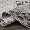 Hauteloom Cabarroguis Area Rug - 4 of 4