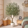 Dr.Planzen 6ft Artificial Olive Tree in White Planter - Faux Olive Tree for Indoor/Outdoor Decor, Fake Plant with Realistic Green Branches - 4 of 4