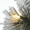 5' Prelit Flocked Pine Artificial Entrance Tree White  Lights - National Tree Company - 3 of 4