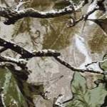 woods camo
