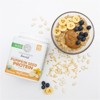Organic Pumpkin Seed Protein Powder, Superfood Plant-Based, All 9 Essential Amino Acids Mild Flavor for Smoothies & Baking, Sunwarrior, 15 servings - 2 of 4