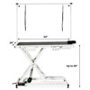 Hydraulic Dog Grooming Table, Pet Grooming Table with Aluminium Overhead Arm, Anti Slip Tabletop for Home and Salon - 2 of 4