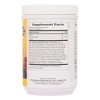 Source of Life Red Lightning Antioxidant Energy Drink by Nature's Plus  -  0.5 lbs Powder - 2 of 3