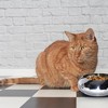 Unspill-a-Bowl® Stainless Steel Double Dog Bowl & Stand Bundle - Paws Pattern | No Spill, Long Ears, Slow Feeding - 4 of 4