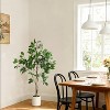 Ficus Trees Artificial Indoor,4/5/6FT Tall Faux Ficus Tree with Planter & Green Fake Moss,Artificial Plants with Natural Wood Trunk & Lifelike Fruits - 3 of 4