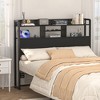 Aheaplus Storage Headboard with Led Lights & Charging Station - 2 of 4